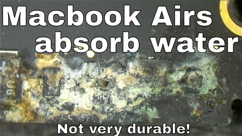 Dead Macbook Air from water spill on edge