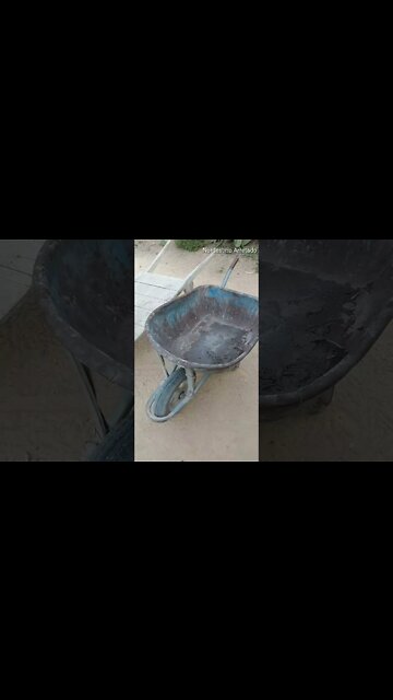 Carrinho de Mão Ou Galinhota? #Nordeste