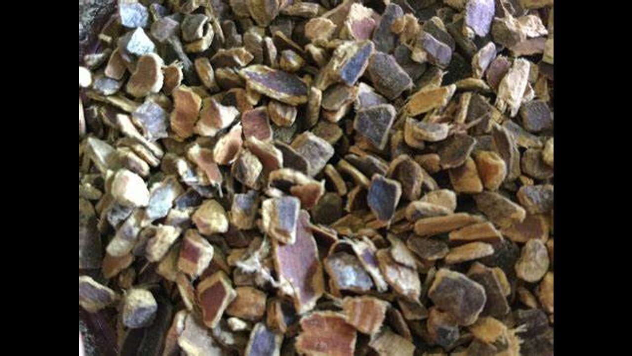 Cascara Sagrada (Rhamnus purshiana)