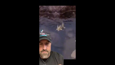 Do you believe in dragons?