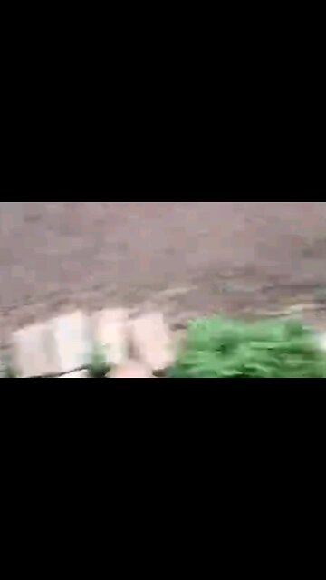 getting swatted for exposing the truth about clay party and mce