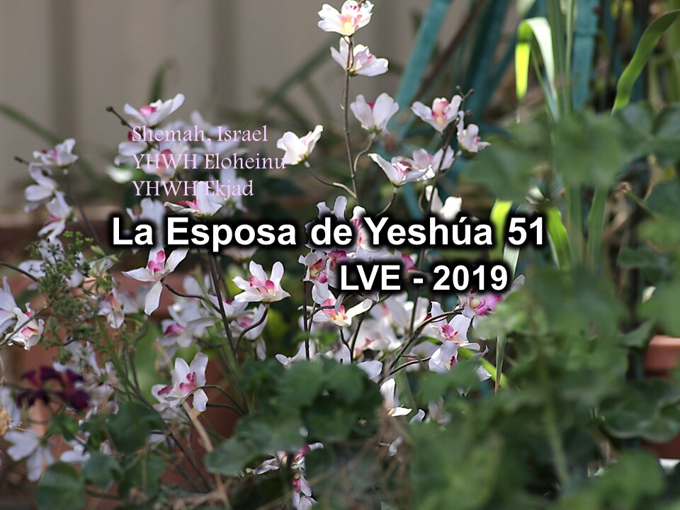 La Esposa de Yeshúa 51 - YHWH Ekjad 30