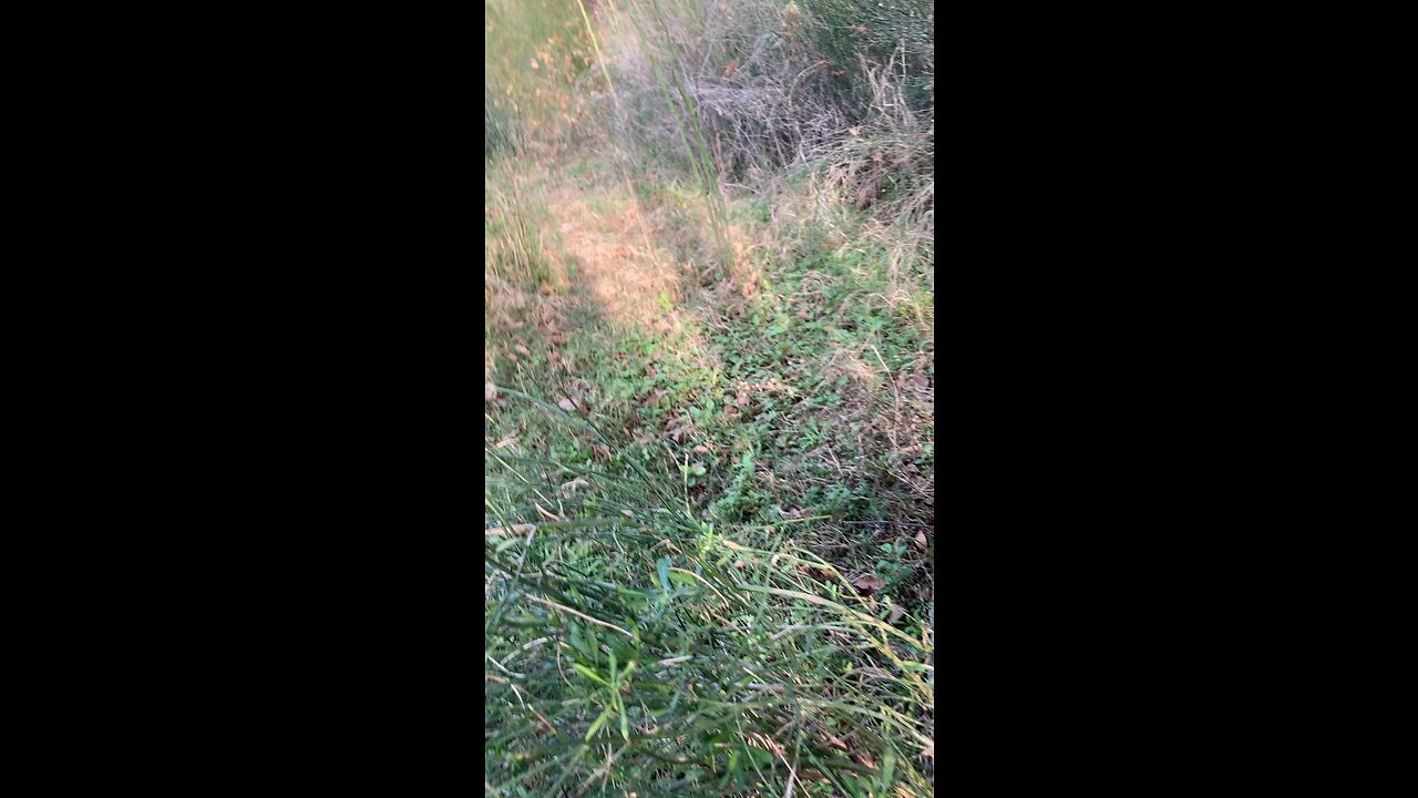 Never know what you will find ￼