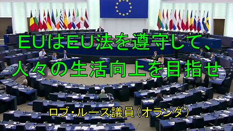 ハンガリーのEU理事会議長に反対する政治運動は恥ずべきものだ。