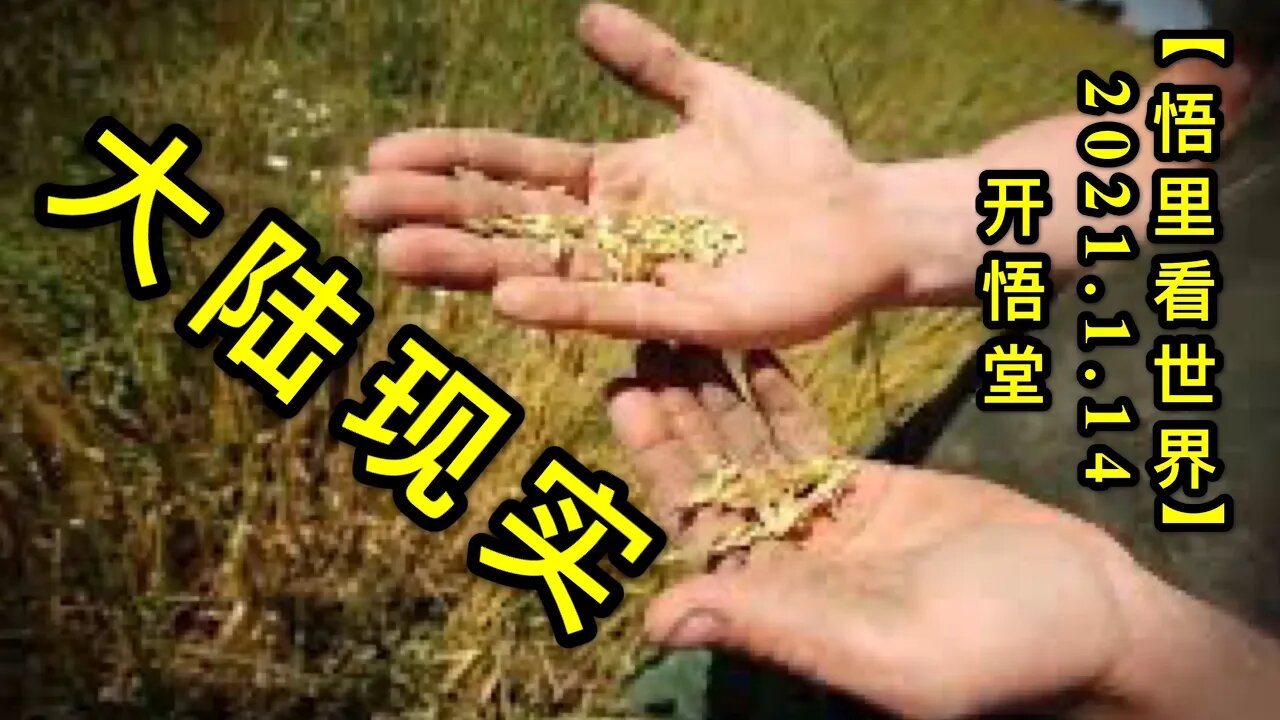 KWT861大陆现实20210114-05【悟里看世界】