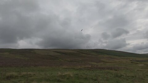 A Ten Mile Training Toss Before The Race On Sunday Over At The Lammermuir Hills.