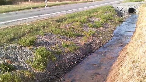 Route 196 Champlain Canal Waterway roadside. NYS DOT did nice ditch to road contour! Thanks Men!