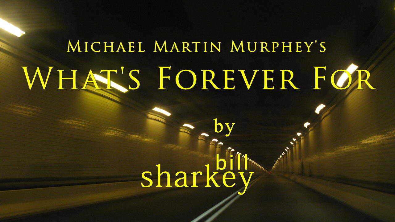 What's Forever For - Michael Martin Murphy (cover-live by Bill Sharkey)