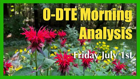 0-DTE Morning Market Volume Profile Analysis - Friday July 1st