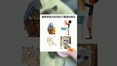 猫咪洗完澡可以自然风干吗？#萌宠好物#养猫#养猫