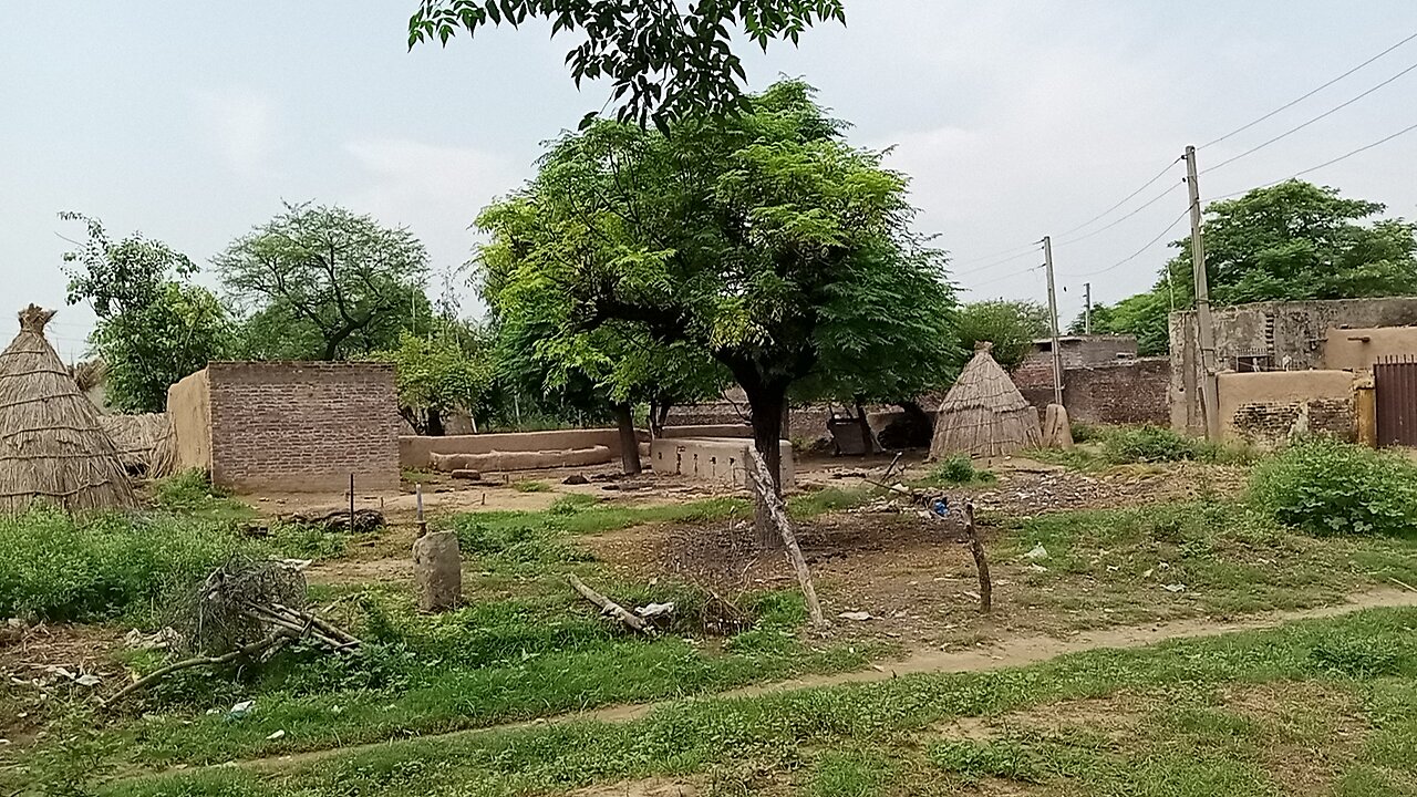 Pure Desi Village Dihati Pendu village Most Beautiful Village in Pakistan🇵🇰 Sweet pind da mahool