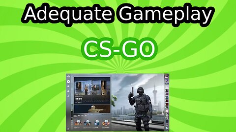 CS-GO Adequate Gameplay