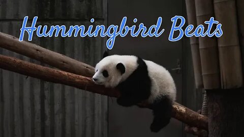 11 PM by BatchBug (No Copyright Music)