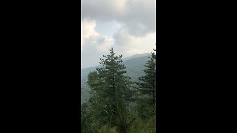 kashmir