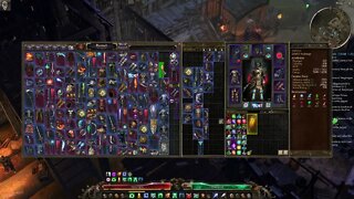 2022 Grim Dawn Dawn of Masteries Playthrough part 21