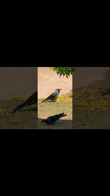 Name this. 👇👇👇👇