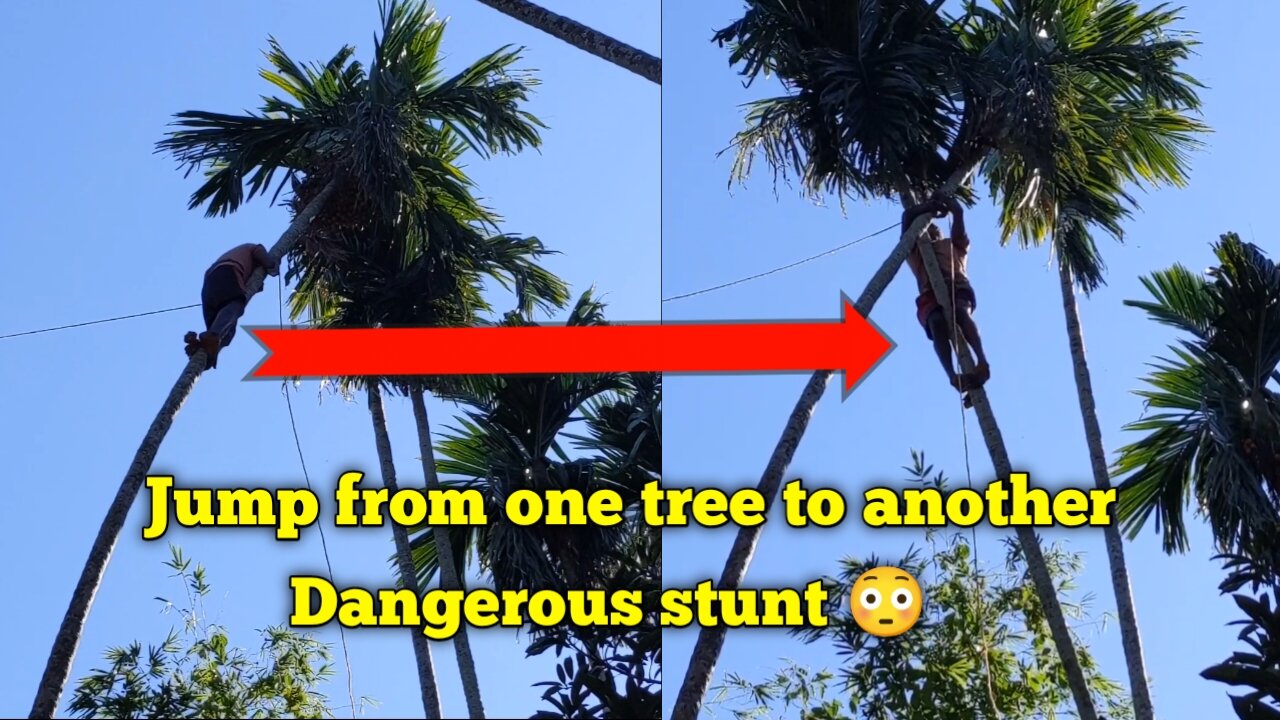 Monkey man Jumped one tree to another only in India watch now