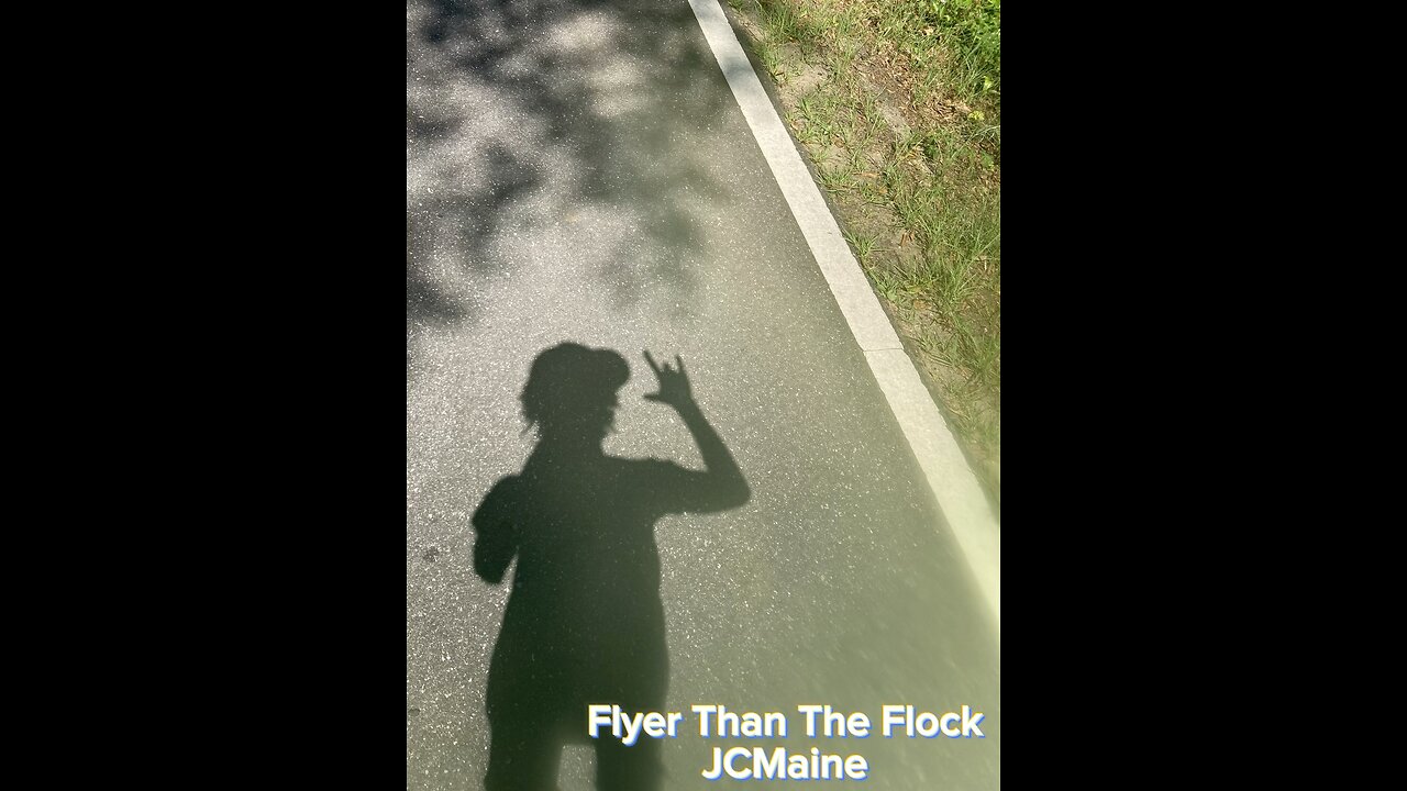 JCMaine-Flyer than the Flock (visualizer)