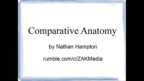 14 MAY 2023 - Comparative Anatomy