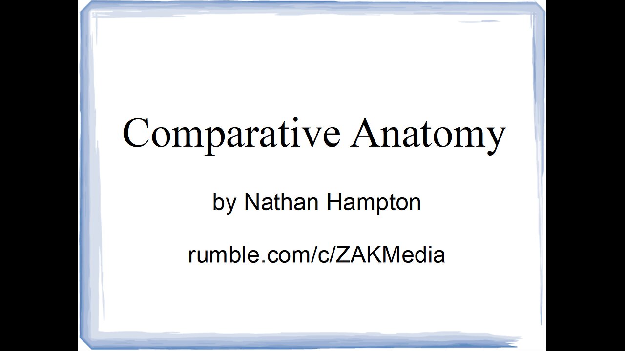 14 MAY 2023 - Comparative Anatomy