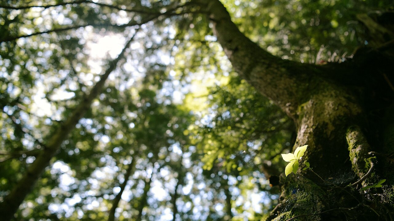 Let's Enjoy Nature