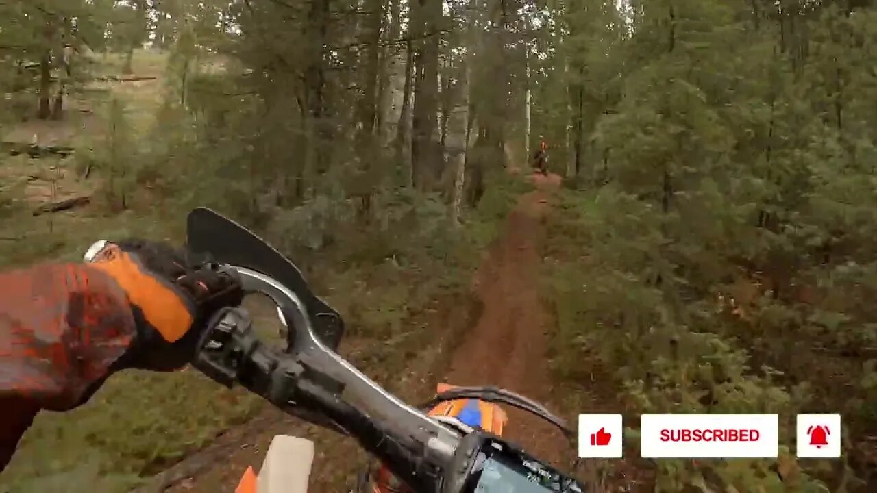 When it's moist! - Passing @Crash Hard Enduro ain't easy!