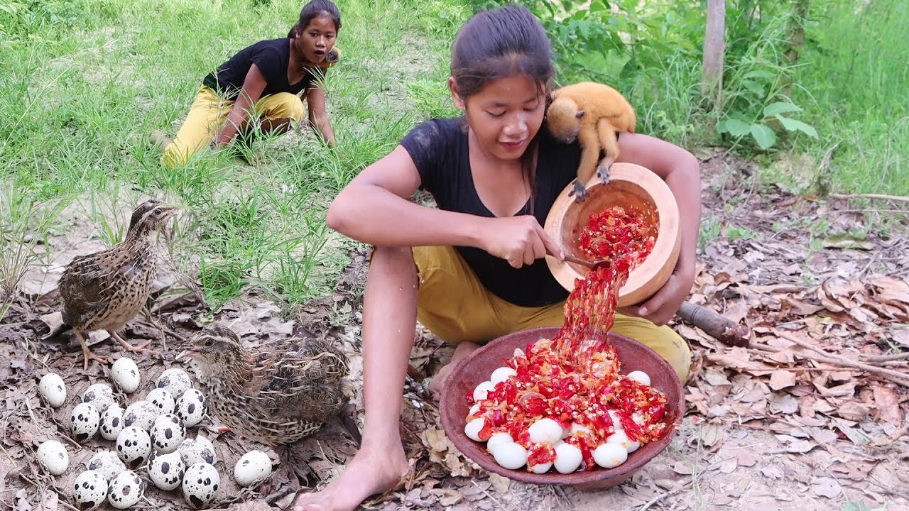 Pick up quail egg for food with yellow monkey- Cooking quail egg with Peppers sauce Eating delicious