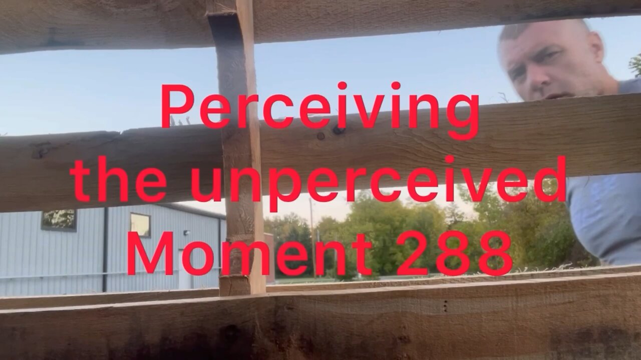 Perceiving the unperceived. Moment 288