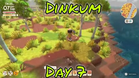 Dinkum by Day The 7th and Luckiest Day!