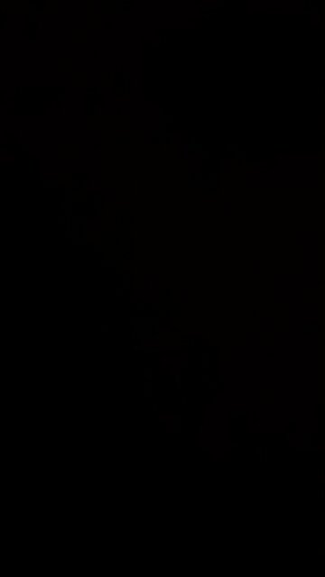 Hunter Biden’s 3 crimes