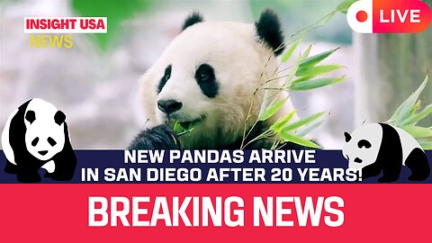 New Pandas Arrive in San Diego After 20 Years!