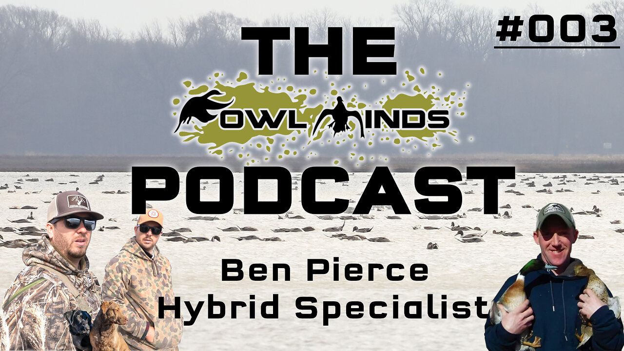 The Fowl Minds Podcast #003 Ben Pierce - Aviologist / Hybrid Ducks & Hybrid Geese