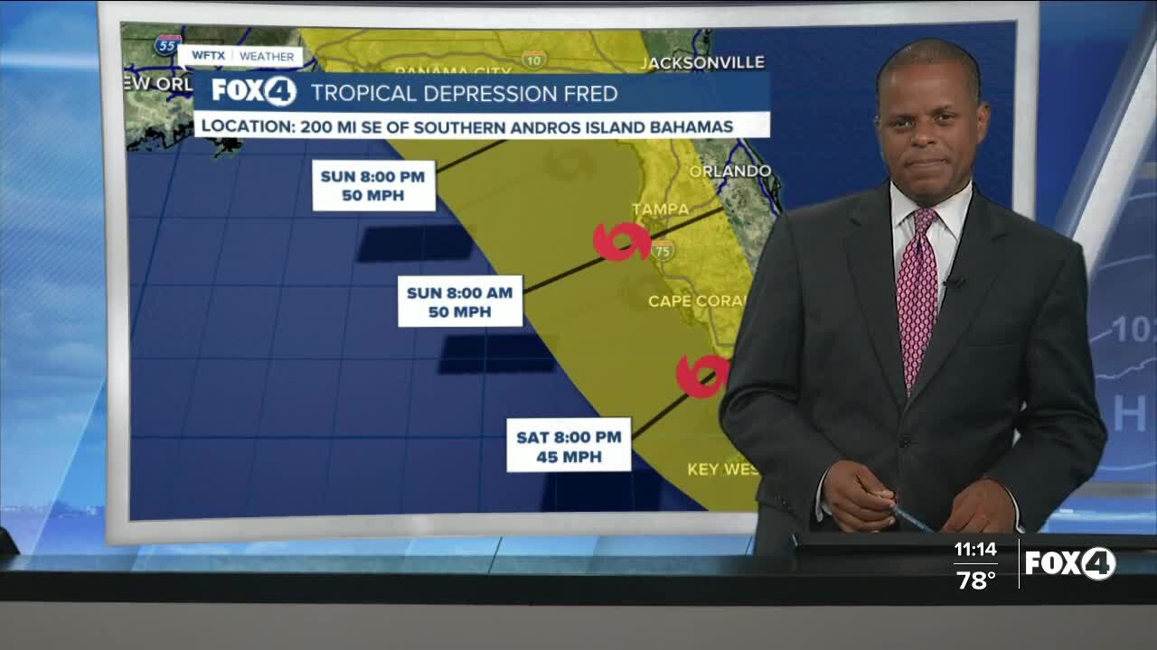 11 PM Tropical Depression Fred Advisory 8/12/21