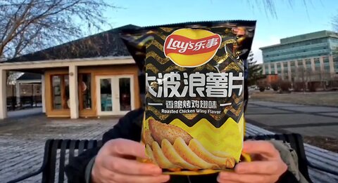 Lays Chinese Roasted Chicken Wing Flavor Chips Review Spicy???