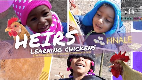 Heirs Learning Chickens Finale