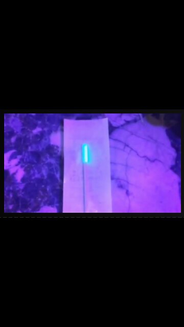 PCR test contaminated with Luciferase!!!