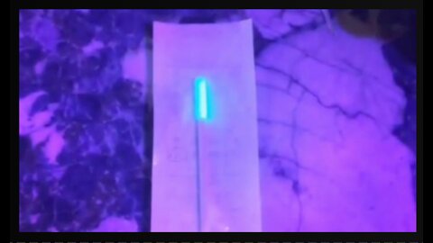 PCR test contaminated with Luciferase!!!