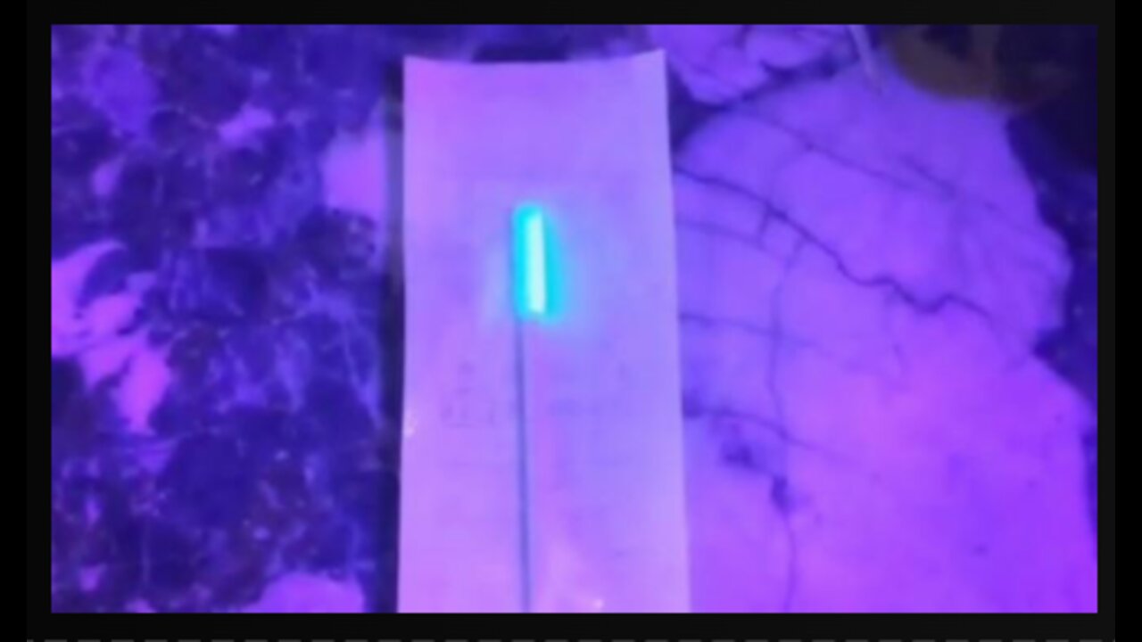 PCR test contaminated with Luciferase!!!