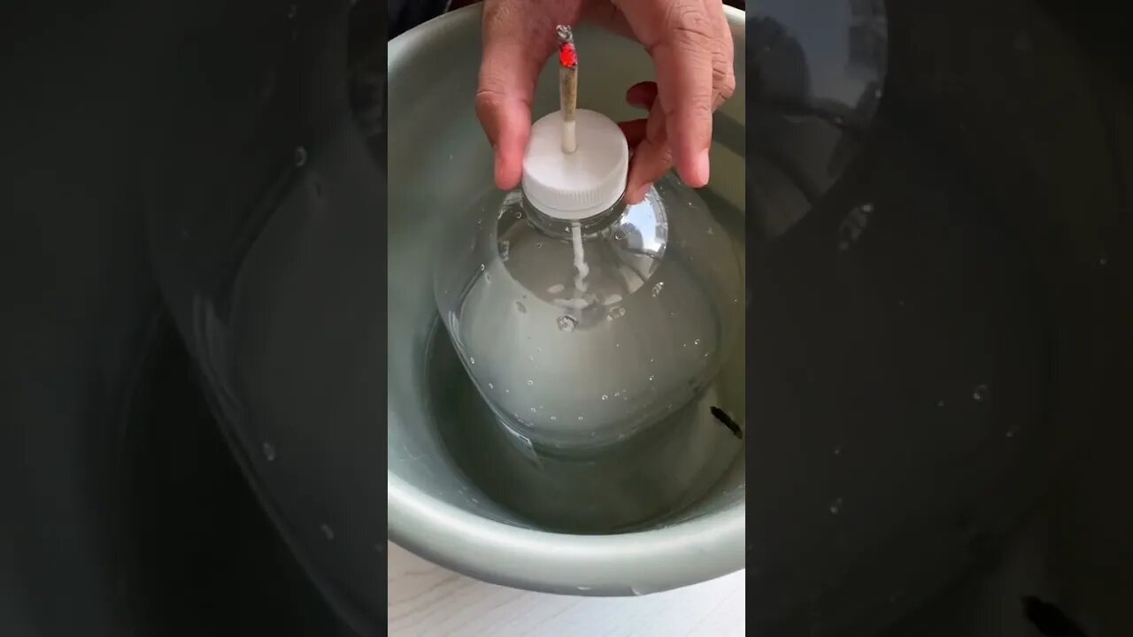 NARGUILÉ DE GRÁVIDADE BALDADA