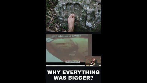 Why was everything bigger