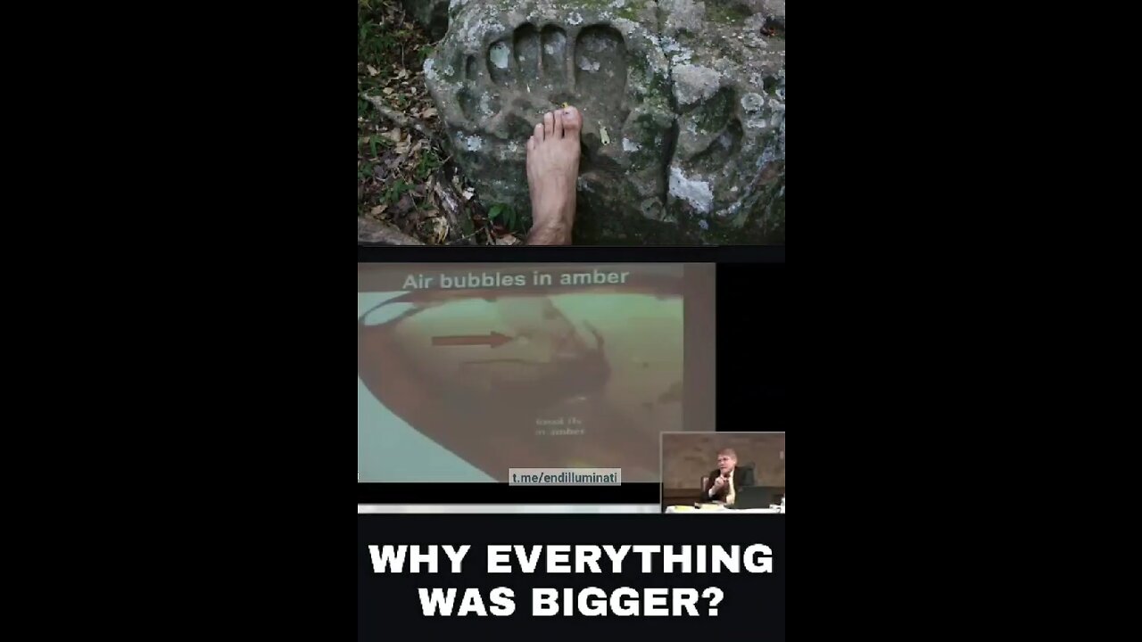 Why was everything bigger