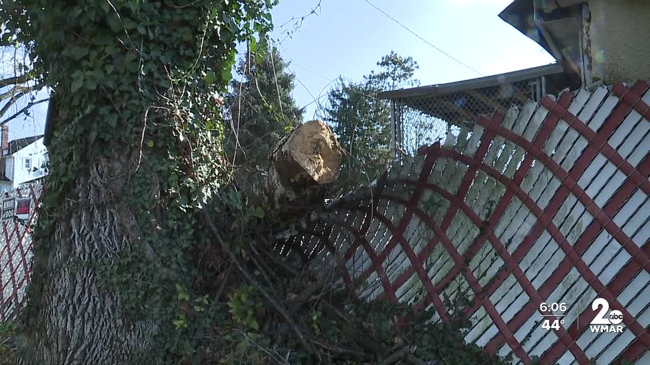 Fallen tree causing damage and power outages in NW Baltimore neighborhood