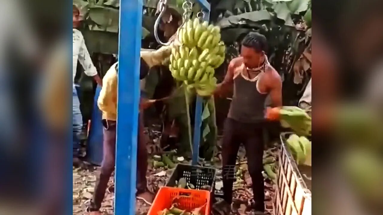 INCREDIBLY EFFICIENT WORKERS