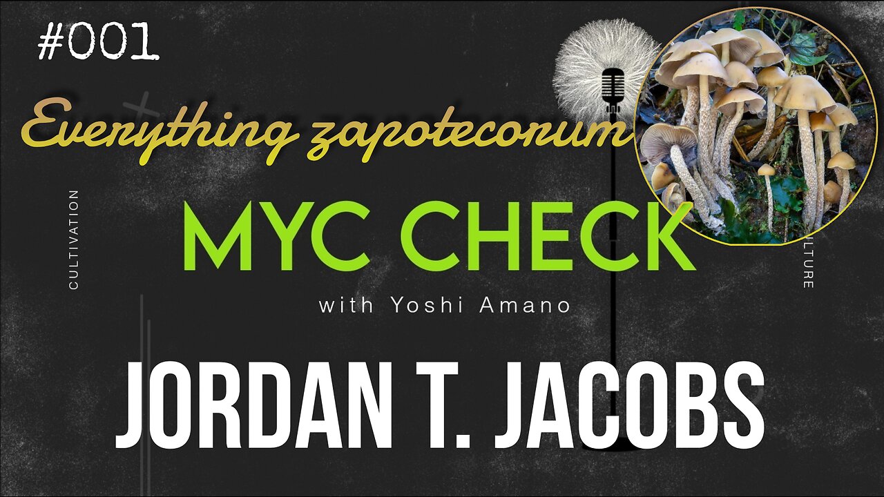 Everything zapotecorum w Jordan Jacobs - Myc Check with Yoshi Amano ep 001