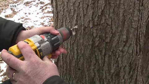 Lake Metroparks Farmpark kicks off its Maple Sugaring Weekends