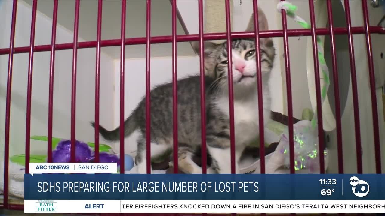 Humane Society prepares for large number of lost pets