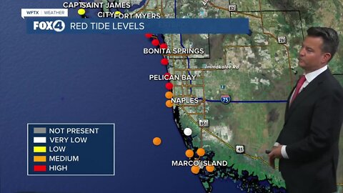 Red Tide Beach Forecast