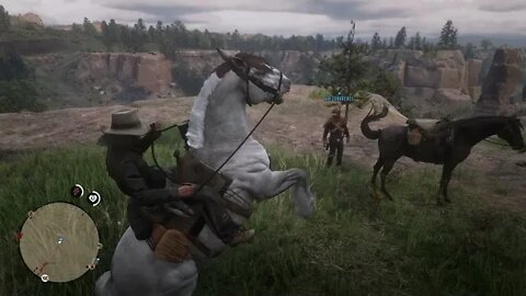 Red Dead Redemption 2 Part 7