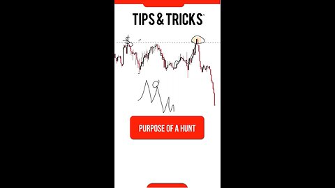 Forex Liquidity Secret Tips