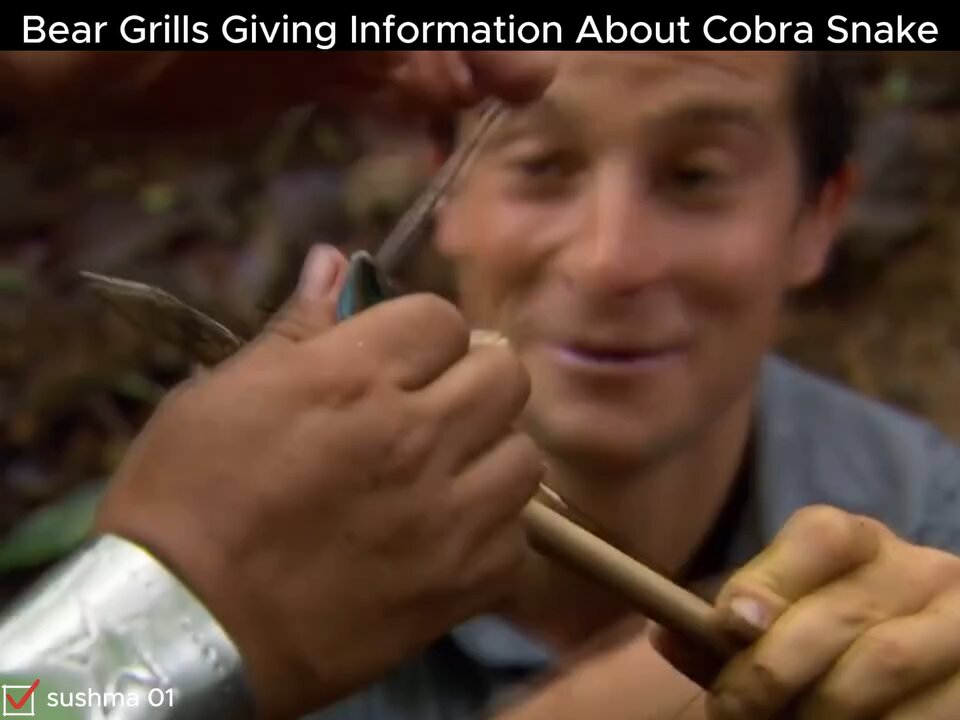 #manVswild#beargrylls#hunting#eating